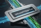 unlockffbeta com